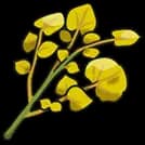 Sour Herba Mystica sprite