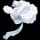 pokemon image