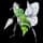 Pokemon Small Shiny Image for Default Form