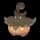 pokemon image