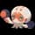 pokemon image