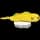 pokemon image