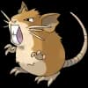 Pokemon Raticate Image