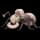 Pokemon Small Shiny Image for Default Form
