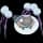 Pokemon Small Shiny Image for Default Form