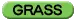 type icon xd