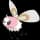 Pokemon Small Shiny Image for Default Form