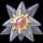 Pokemon Starmie - Default Form Image