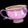 Pokemon Small Shiny Image for Anitque Form