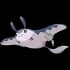 Mantine Pokemon Image