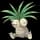 pokemon image