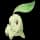 pokemon image
