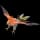 pokemon img Talonflame