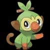 Pokemon Grookey Image