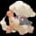 pokemon image