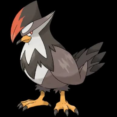 Pokémon of the day image: Staraptor