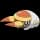 pokemon image