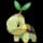 pokemon image