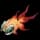 pokemon image