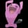 Pokemon Small Shiny Image for Default Form
