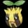pokemon image
