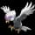 pokemon image