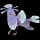 Pokemon Oricorio - Sensu Style Image