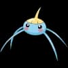 Pokemon Surskit Image