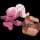 Pokemon Small Shiny Image for Default Form