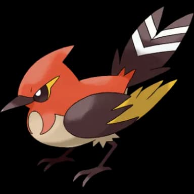 Pokémon of the day image: Fletchinder