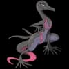 Pokemon Salazzle Image