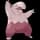 Pokemon Small Shiny Image for Default Form