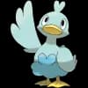 Pokemon Ducklett Image