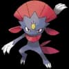 Pokemon Weavile Image