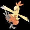 Pokemon Combusken Image