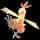 pokemon image