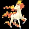 Pokemon Rapidash Image