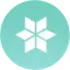 type icon go