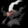 pokemon image
