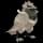Pokemon Small Shiny Image for Default Form