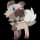 pokemon image