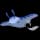 Pokemon Small Shiny Image for Default Form