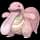 pokemon image