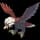 pokemon image