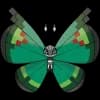Pokemon Vivillon Image