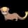 pokemon image