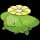 pokemon image