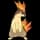 Pokemon Small Shiny Image for Default Form