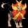 pokemon image