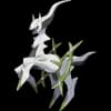 Pokemon Arceus Image
